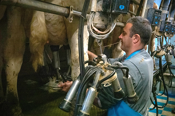 levé de soleil chez le producteur de raclette